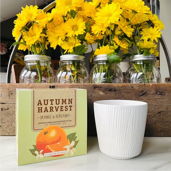 Anthropologie•NIB•Flora & Fauna•Hand-Poured Soy Wax Candle•9oz•Orange+Bergamot - Picture 12 of 16